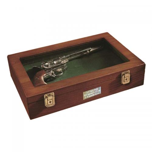 Gun Carry Storage Box